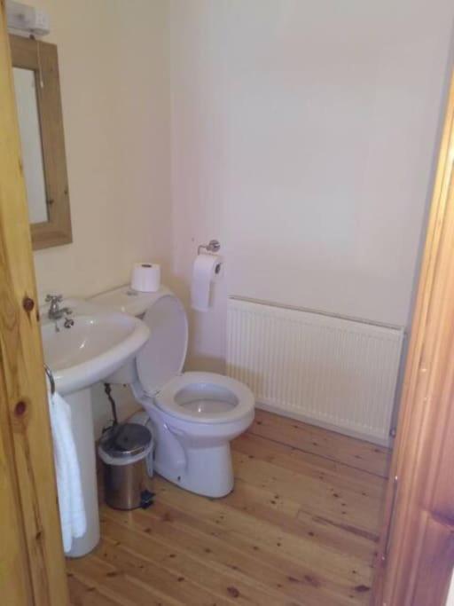 Townhouse 2 Barrow Lane Villa Carlow Ngoại thất bức ảnh