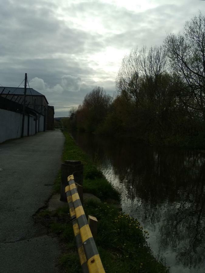 Townhouse 2 Barrow Lane Villa Carlow Ngoại thất bức ảnh